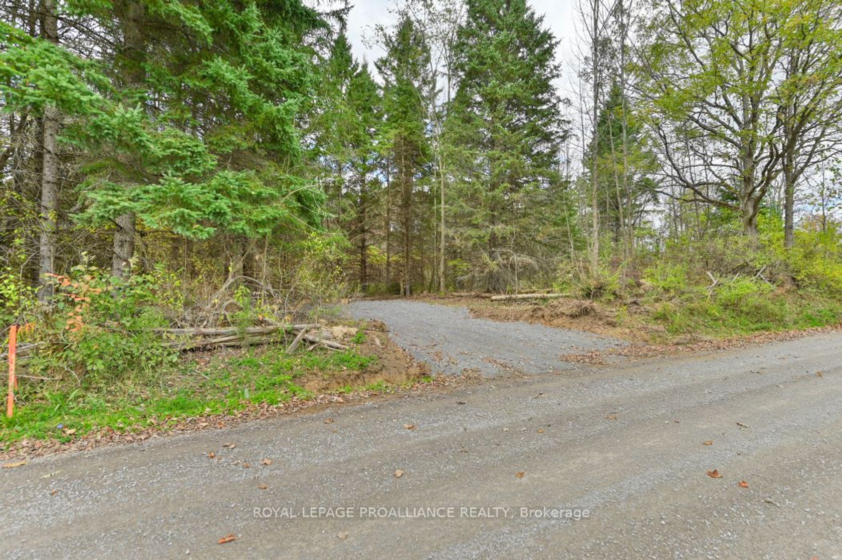  Otter Creek Rd 