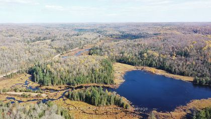 Photo 11 at 1379B Peterson Rd
