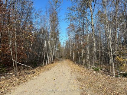Photo 19 at 1379B Peterson Rd
