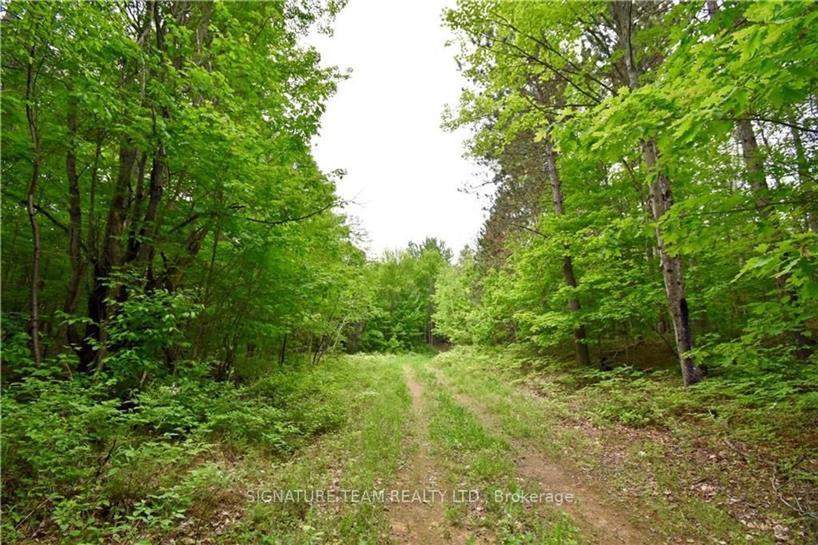 455 PASSAW Rd, 561 - North Algona/Wilberforce Twp, North Algona Wilberforce 