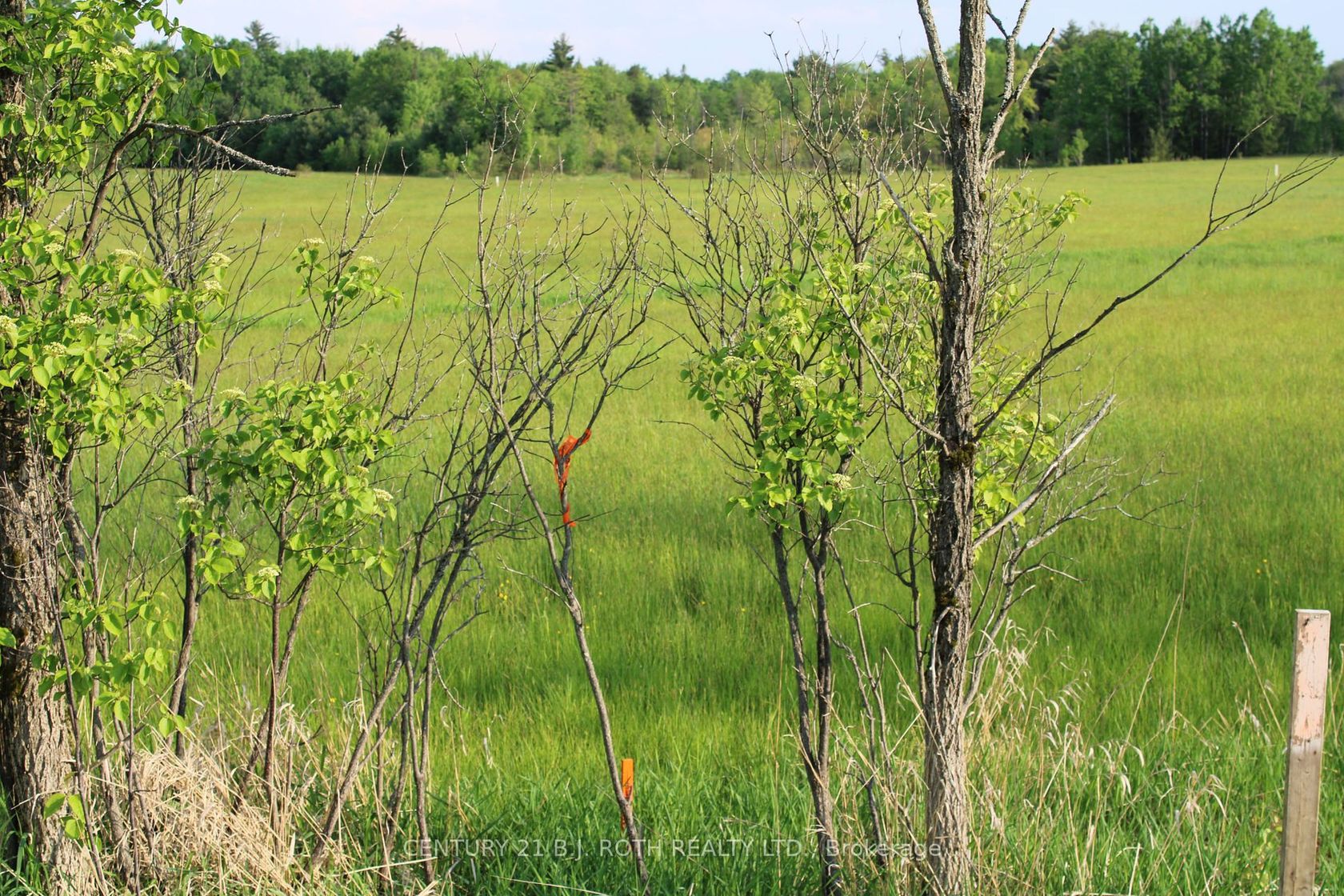 LOT 2 - 1521 Kilworthy Rd 