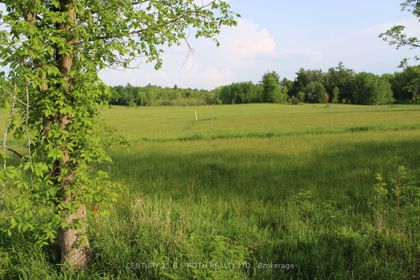 Photo 5 at LOT 4 - 1521 Kilworthy Rd