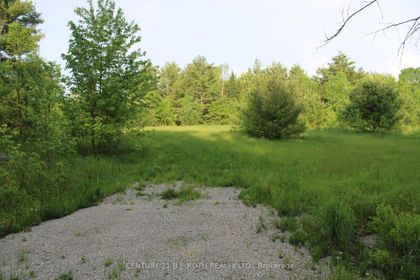 Photo 7 at LOT 4 - 1521 Kilworthy Rd