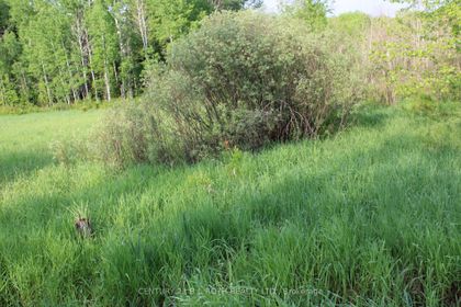 Photo 8 at LOT 4 - 1521 Kilworthy Rd