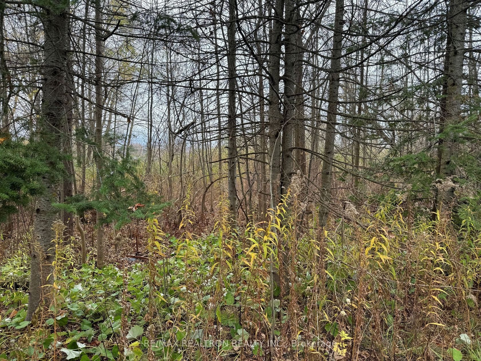  Taylorwoods Boulevard, Alcona, Innisfil photo 0