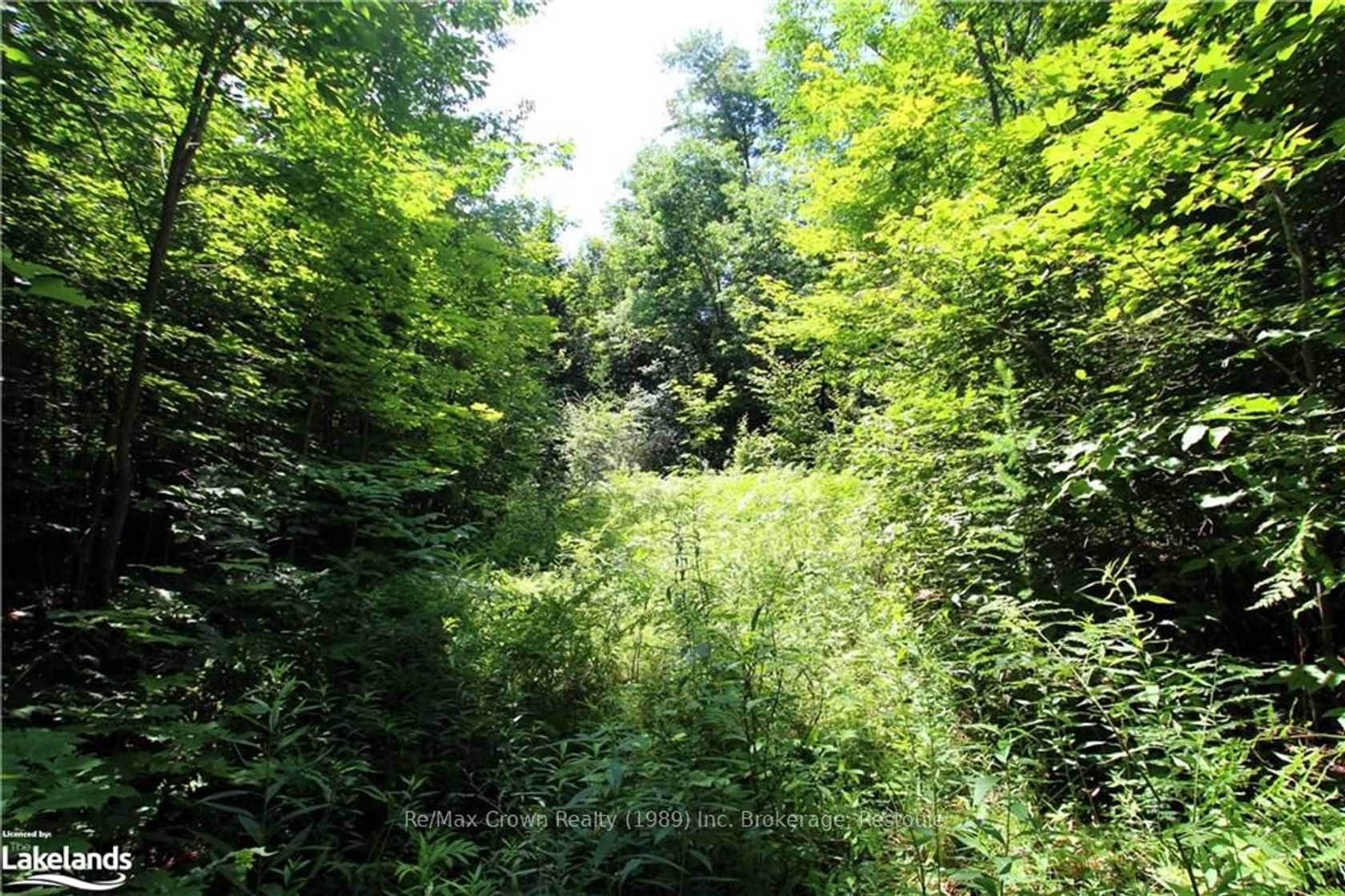 0A 20TH SIDE RD 