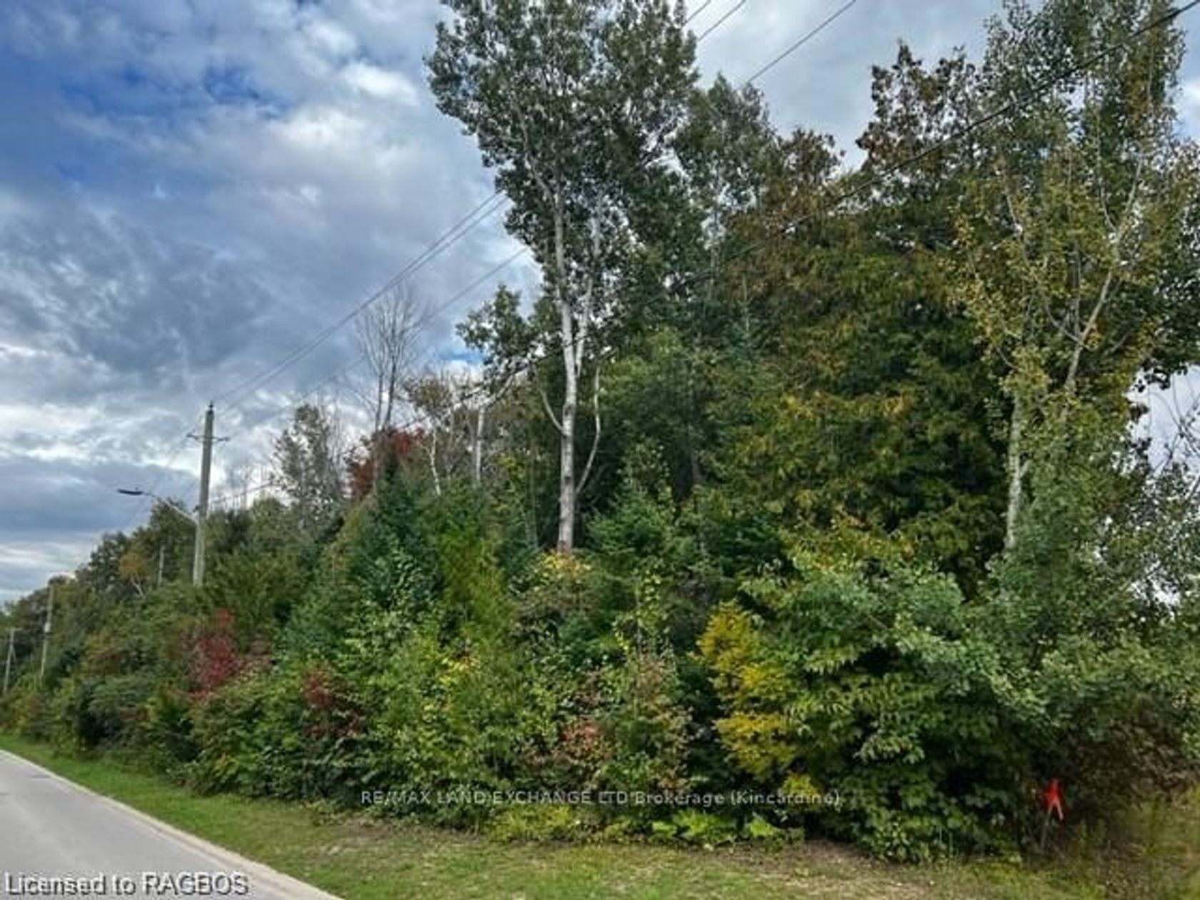 1 SHORE Rd 