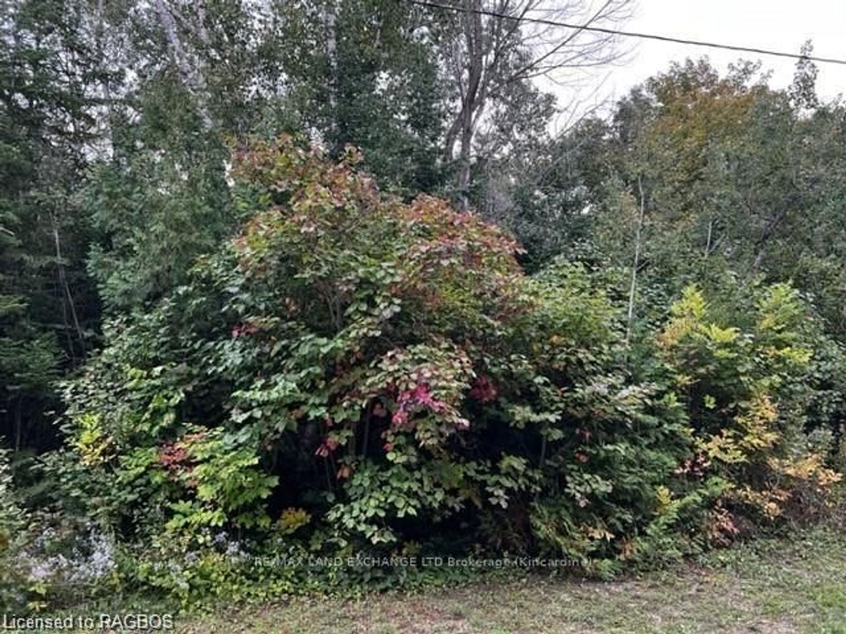 5 SHORE Rd 