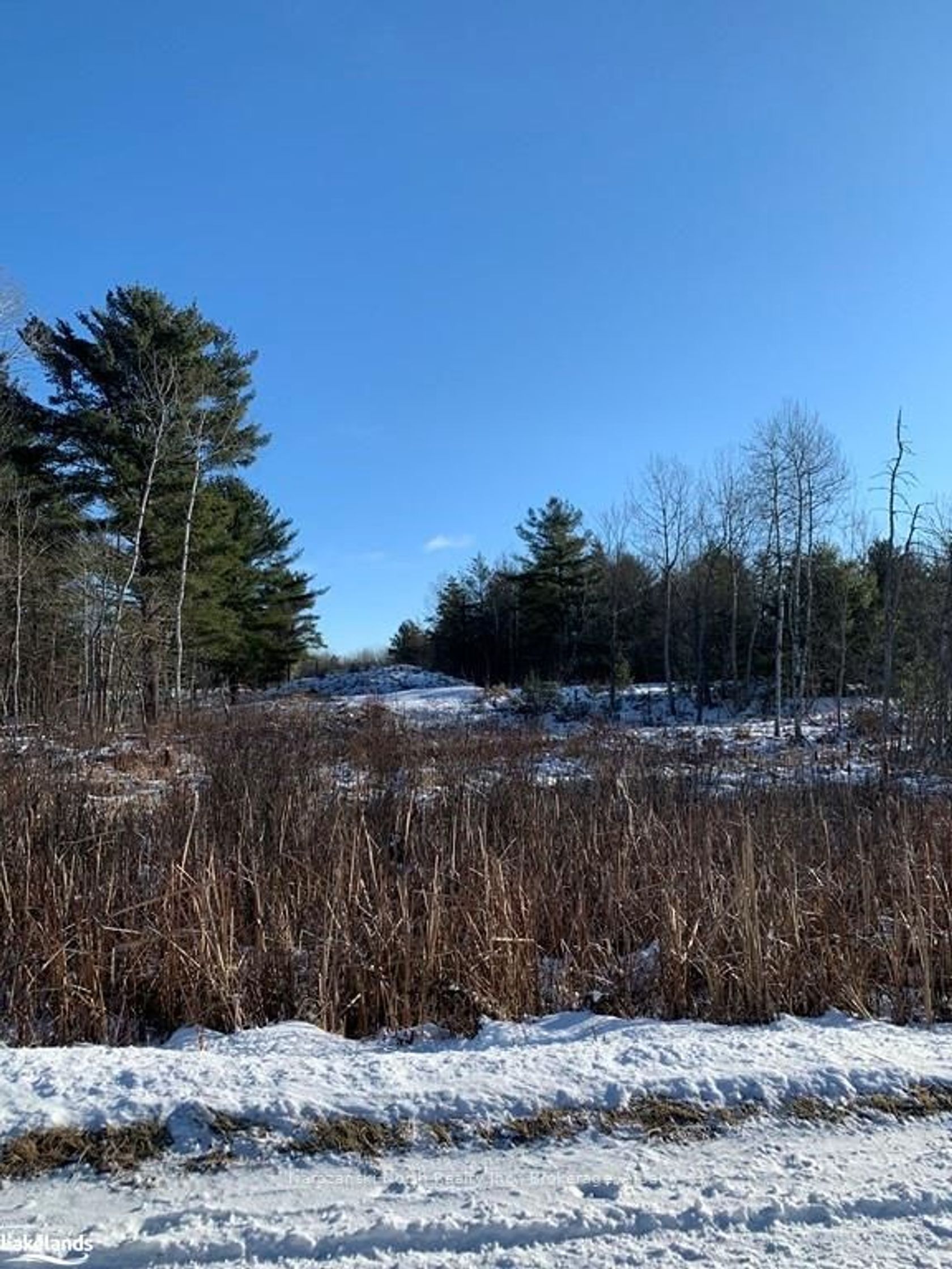 LOT 25 DELAMERE Rd by Loree Meneguzzi Real Estate LOT 25 DELAMERE Rd
