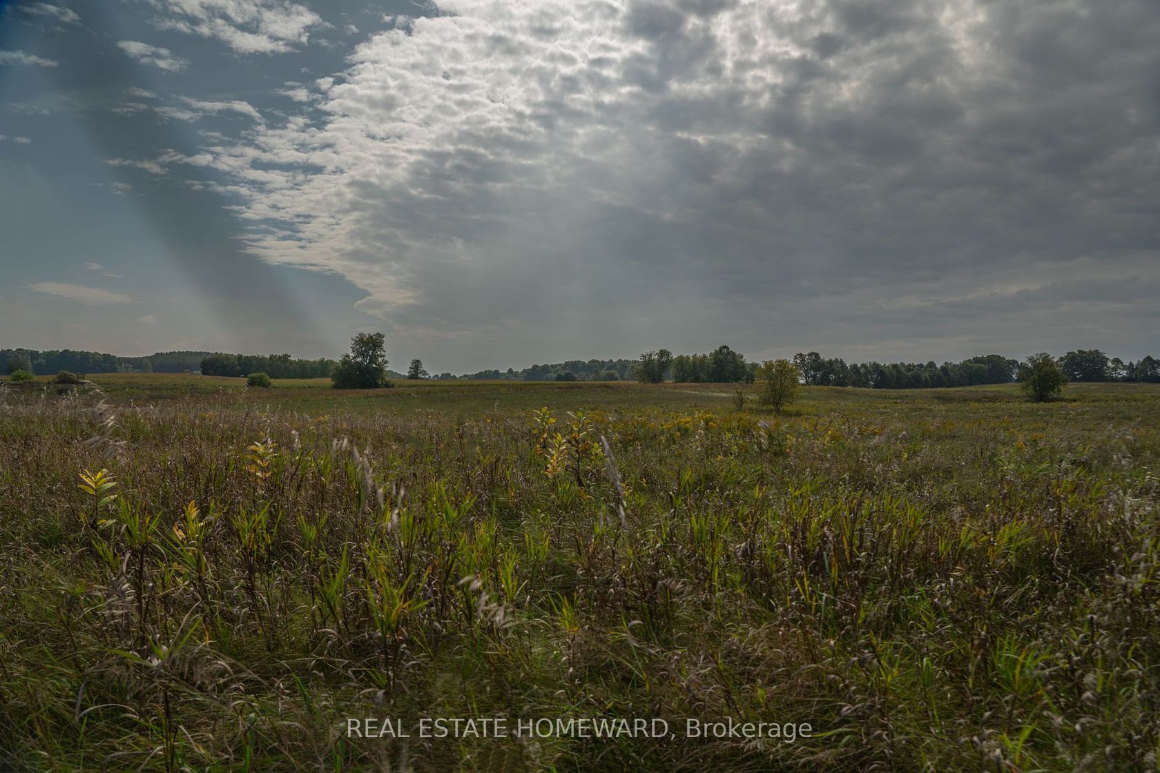 1430 COUNTY RD 50, Rural Adjala-Tosorontio, Adjala-Tosorontio 