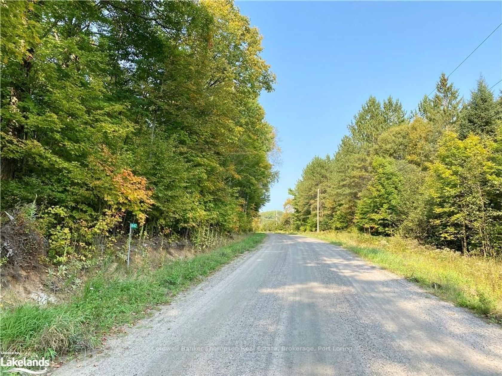 842 SEAGULL LAKE Rd 