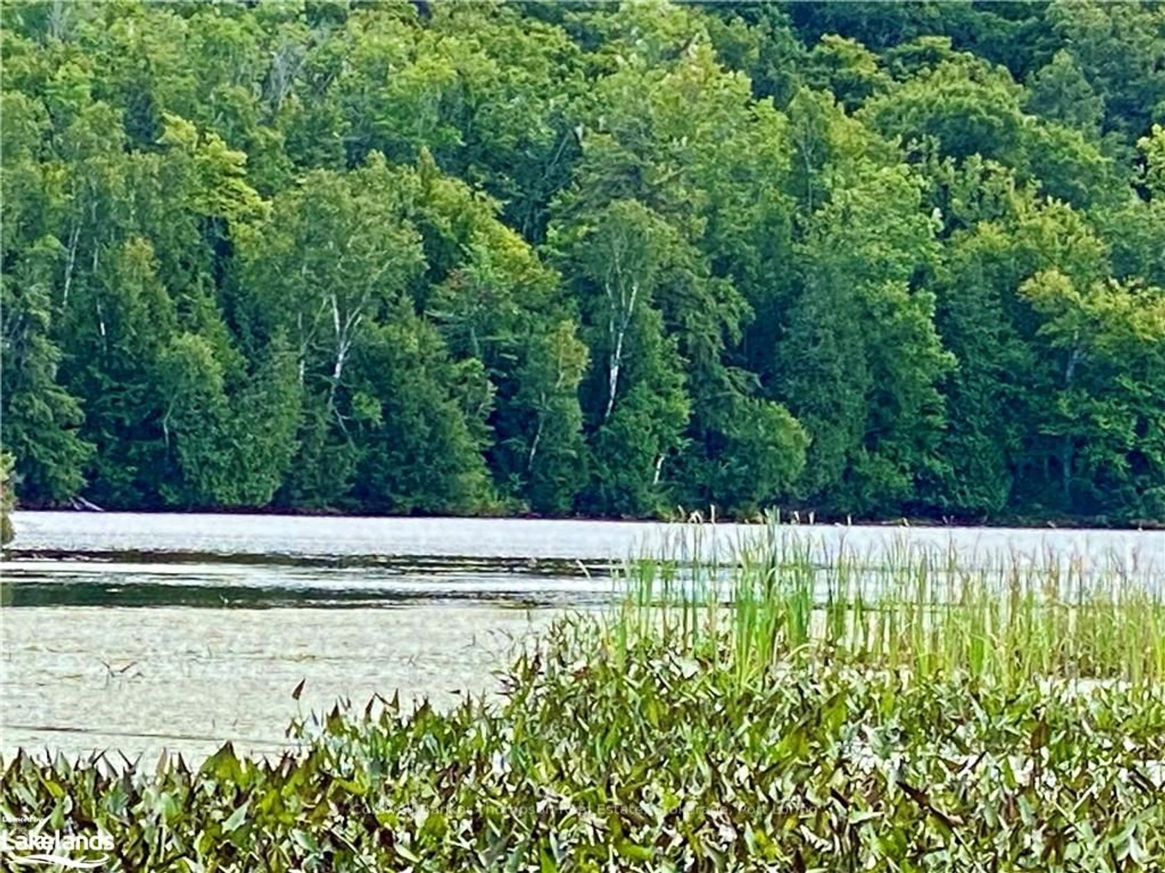 22-A MAPLE Dr 