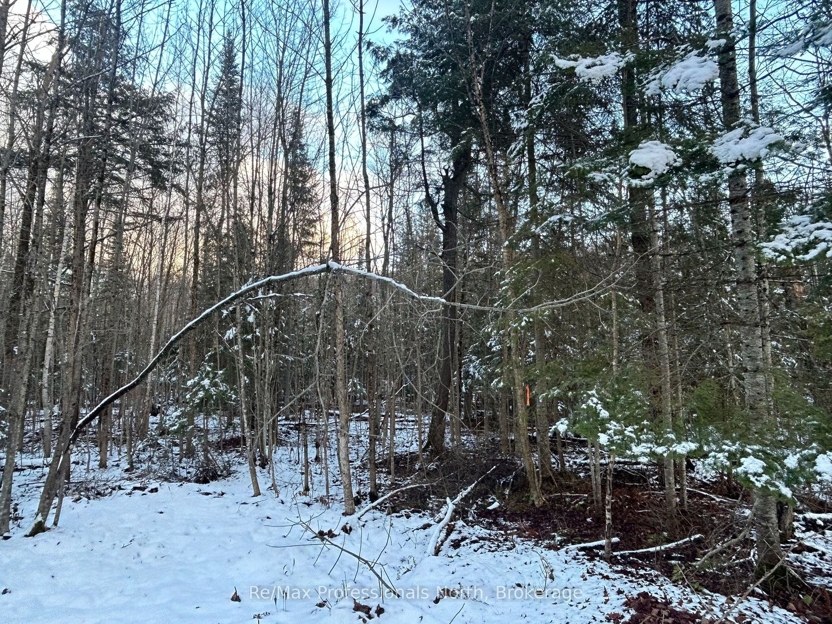  Sharon Lake Dr 
