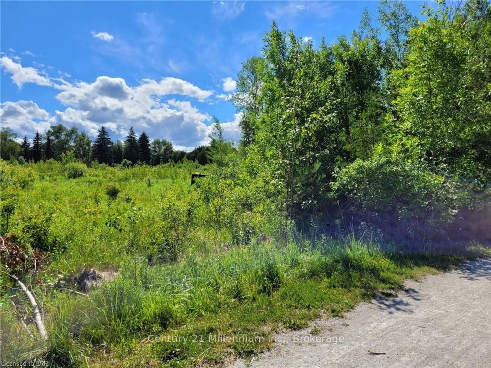 11325 HIGHWAY 26, Collingwood 