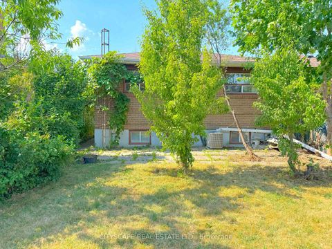Photo 33 at 113 Spenvalley Drive, Jane Heights, Toronto