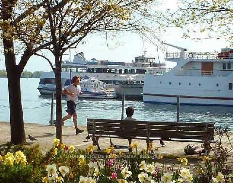Photo 18 at 2901 - 77 Harbour Square, Waterfront Communities C1, Toronto