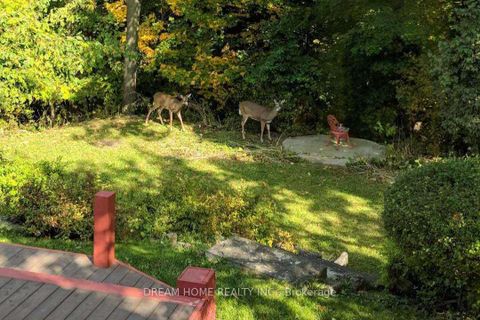 Photo 33 at 37 Cliffside Drive, Cliffside, Toronto