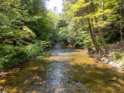 Photo 7 at 8355 County 9 Road, Rural Clearview, Clearview