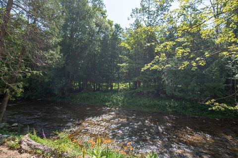 Photo 12 at 8355 County 9 Road, Rural Clearview, Clearview