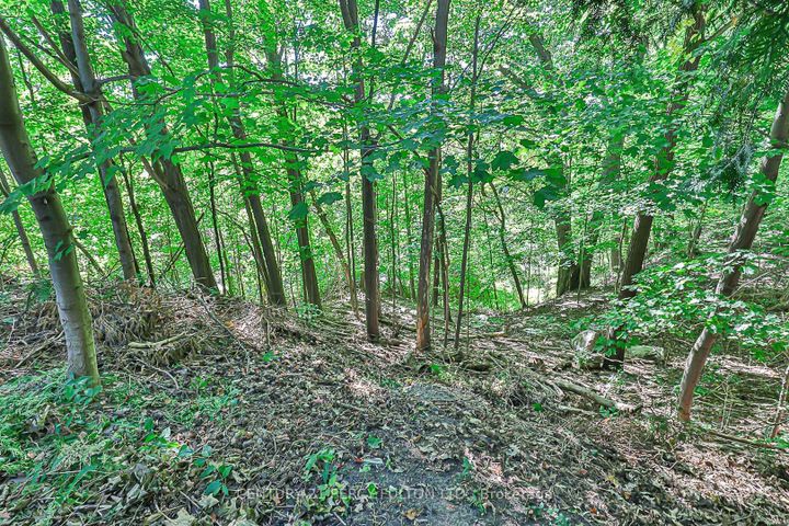Photo 37 at 4 Page Avenue, Bayview Village, Toronto