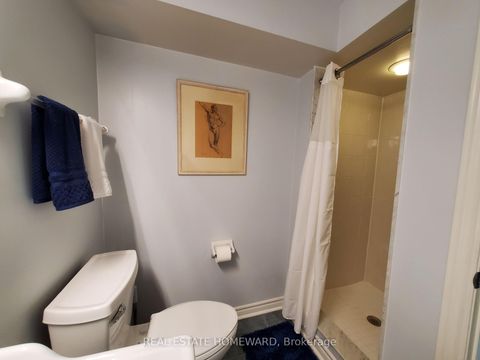 Photo 41 at 257 Milan Street, Moss Park, Toronto