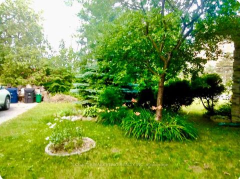 Photo 17 at 224 Galloway Road, West Hill, Toronto Photo 17 at 224 Galloway Road, West Hill, Toronto