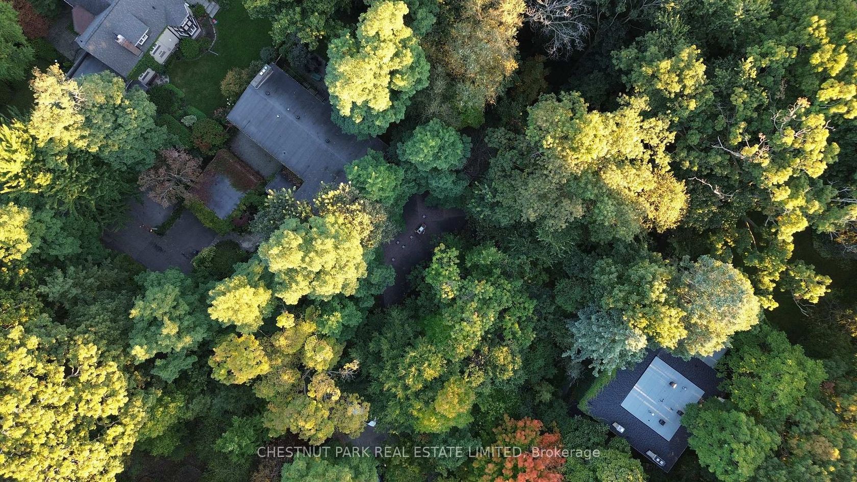 6C Wychwood Park, Wychwood, Toronto 