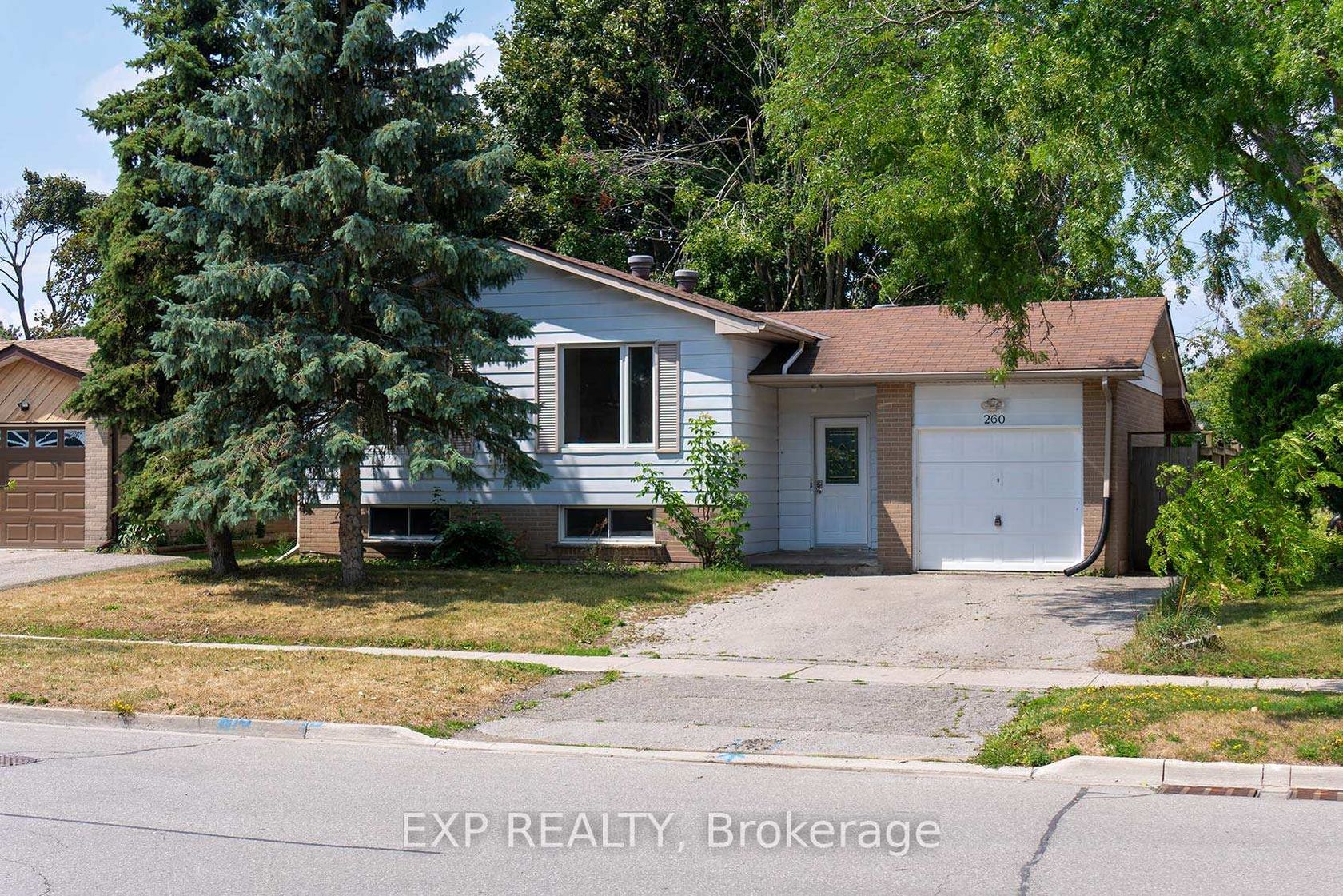 260 Cook Street, Grove East, Barrie photo 4
