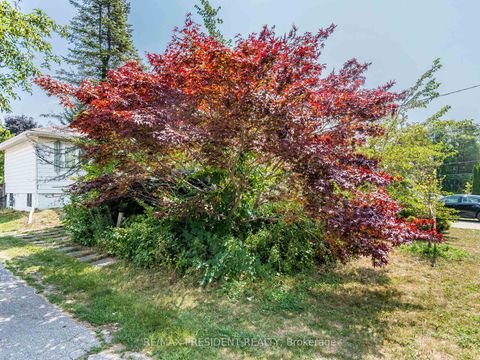 Photo 7 at 135 Kitchener Road, West Hill, Toronto