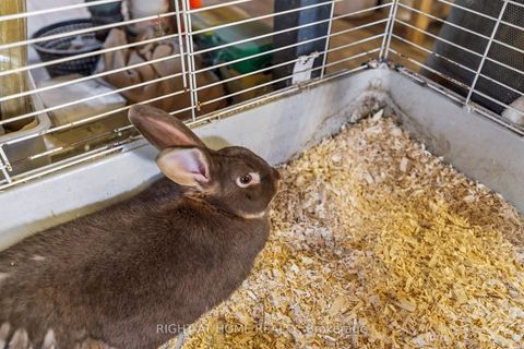 Photo 31 at 6216 Sunnidale Tosorontio Townline, Rural Clearview, Clearview