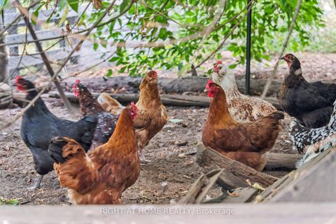 Photo 38 at 6216 Sunnidale Tosorontio Townline, Rural Clearview, Clearview