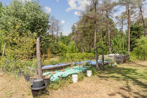 Photo 39 at 6216 Sunnidale Tosorontio Townline, Rural Clearview, Clearview