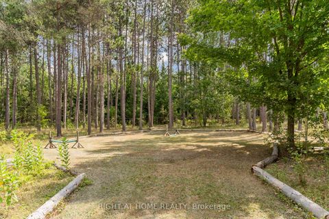 Photo 40 at 6216 Sunnidale Tosorontio Townline, Rural Clearview, Clearview