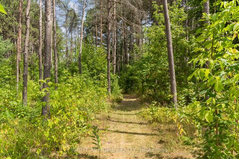 Photo 41 at 6216 Sunnidale Tosorontio Townline, Rural Clearview, Clearview