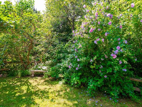 Photo 39 at 21 Pylon Place, Old Rexdale, Toronto