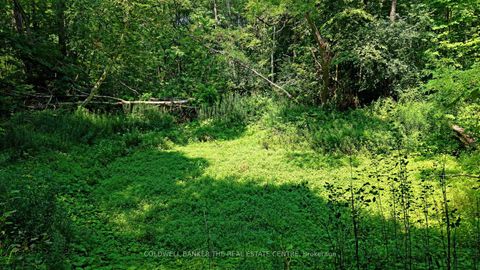 Photo 19 at 15600 Weston Road, Rural King, King