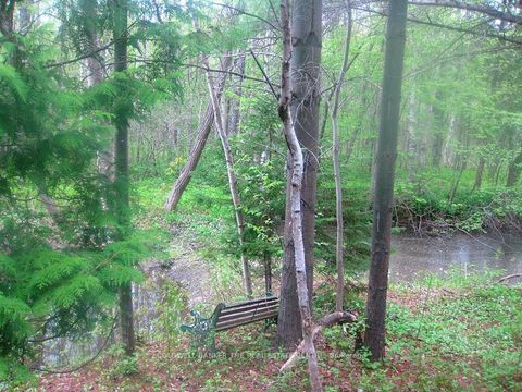 Photo 29 at 15600 Weston Road, Rural King, King