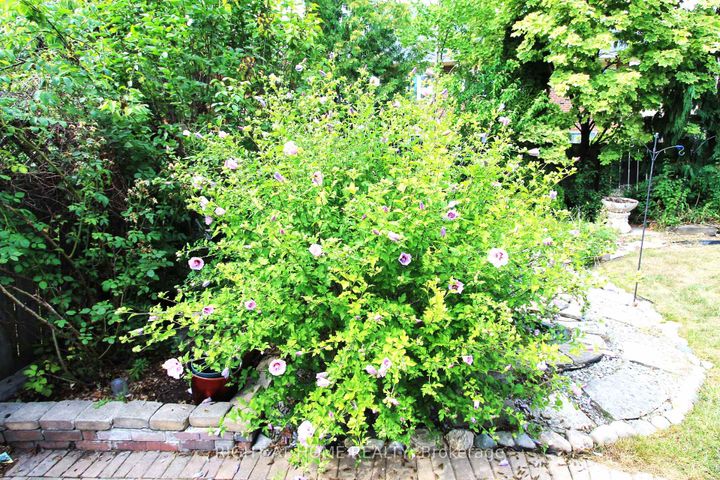 Photo 40 at 26 Leighland Drive, Unionville, Markham