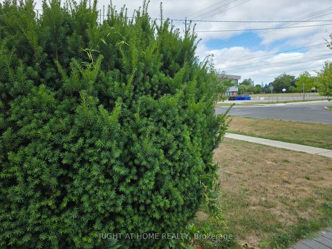 Photo 5 at 220 Livingston Road, Guildwood, Toronto Photo 5 at 220 Livingston Road, Guildwood, Toronto