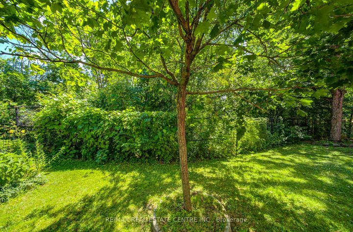 Photo 36 at 19 - 280 Hillcrest Avenue, Cooksville, Mississauga