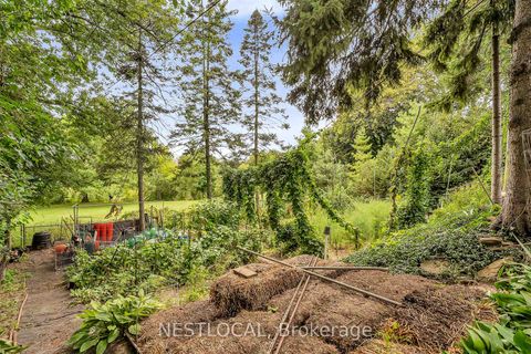 Photo 14 at 37 Enfield Avenue, Alderwood, Toronto