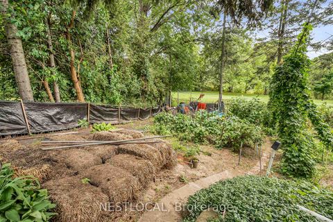 Photo 15 at 37 Enfield Avenue, Alderwood, Toronto