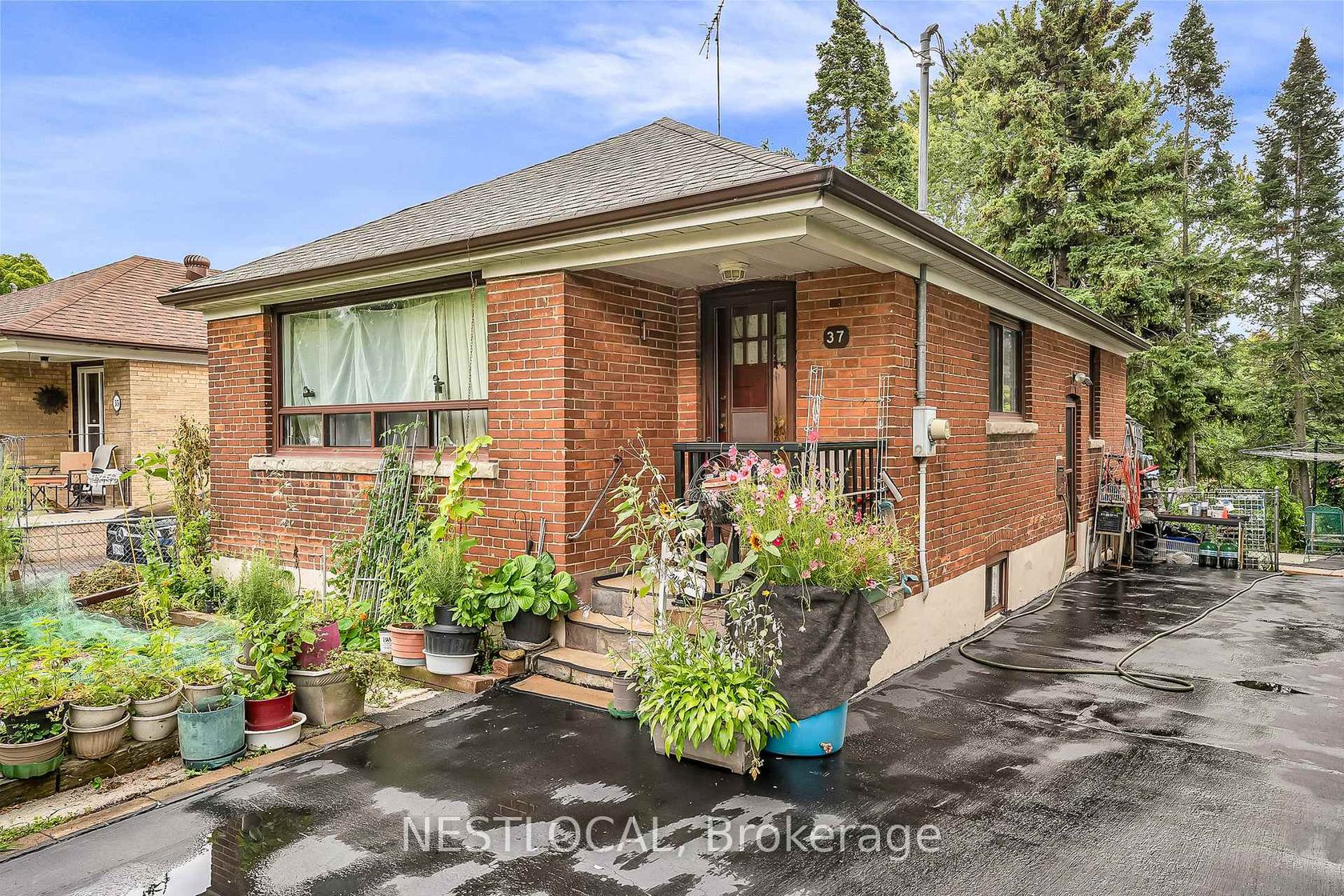 37 Enfield Avenue, Alderwood, Toronto 