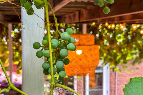 Photo 23 at 482 Mcroberts Avenue, Fairbank, Toronto