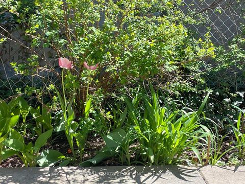 Photo 29 at 55 Tollerton Avenue, Steeles, Toronto