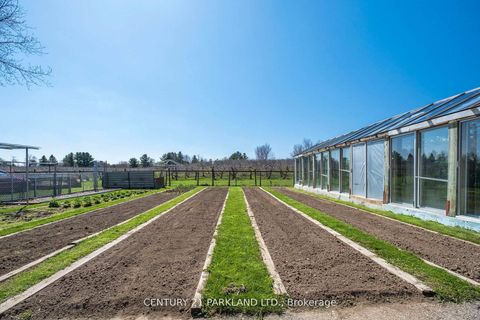 Photo 4 at 14420 Jane Street, Rural King, King