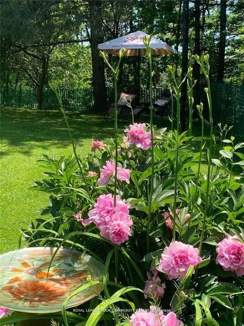 Photo 28 at 247 Harris Avenue, Jefferson, Richmond Hill Photo 28 at 247 Harris Avenue, Jefferson, Richmond Hill