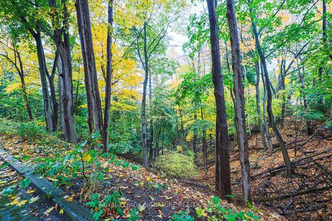 Photo 4 at 4203 - 50 Old Kingston Road, West Hill, Toronto