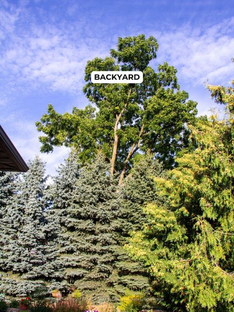 Photo 28 at 9 Sevenoaks Avenue, Queensway, Toronto