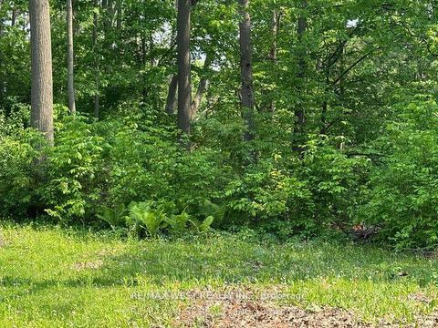 Photo 33 at 105 Shirley Avenue, Sunnidale, Barrie